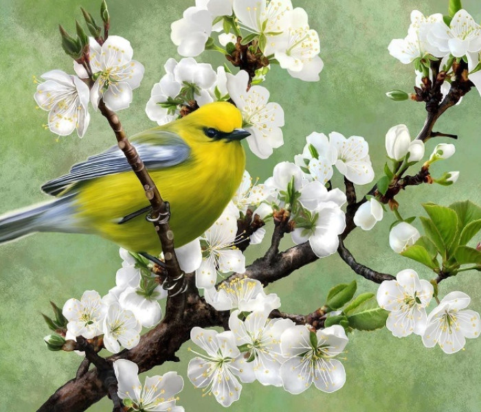 Puzzle - Nova puzzle - Puzzle Nadchodzi wiosna